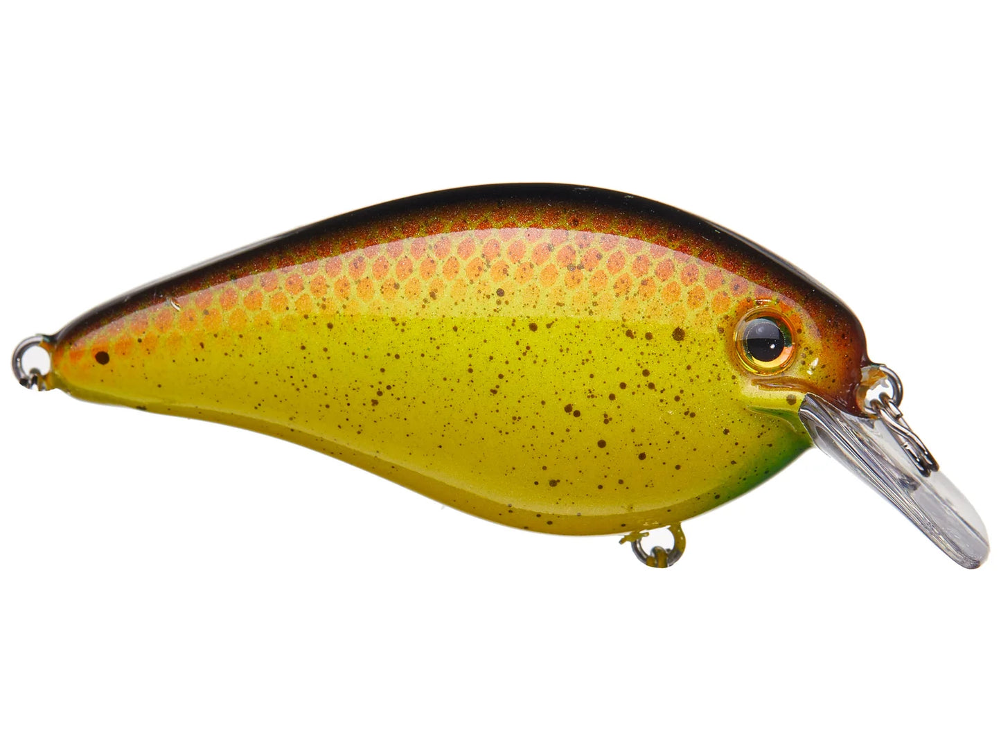 Strike King KVD 1.5 HC Squarebill Silent Crankbait Bully
