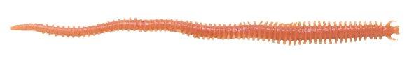 Berkley Gulp SW Sandworm, 2'' Natural 24pk