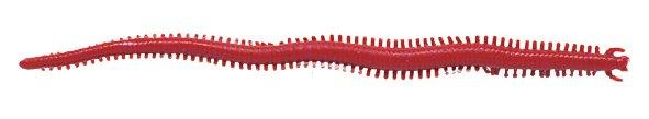 Berkley Gulp SW Sandworm, 6'' Bloody 10pk