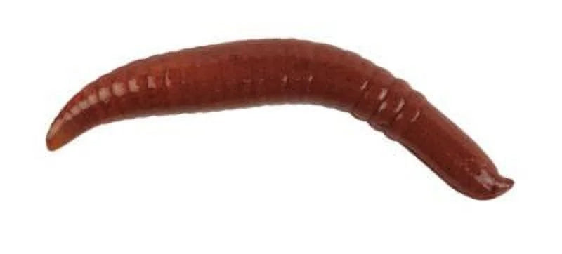 Berkley Gulp! Alive! Pinched Crawlers - Nightcrawler 2"