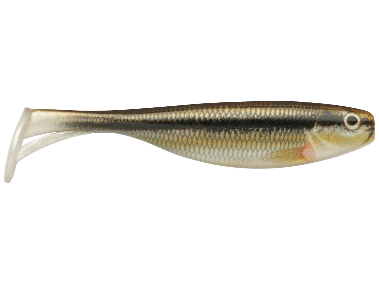 Storm Largo Shad 4" live Minnow