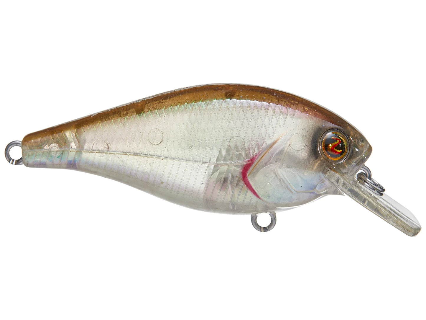 River2Sea Ish Monroe Biggie Poppa Squarebill Crankbaits 67 Mullet