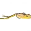 Snag Proof Bobby's Perfect Frog New Bullfrog