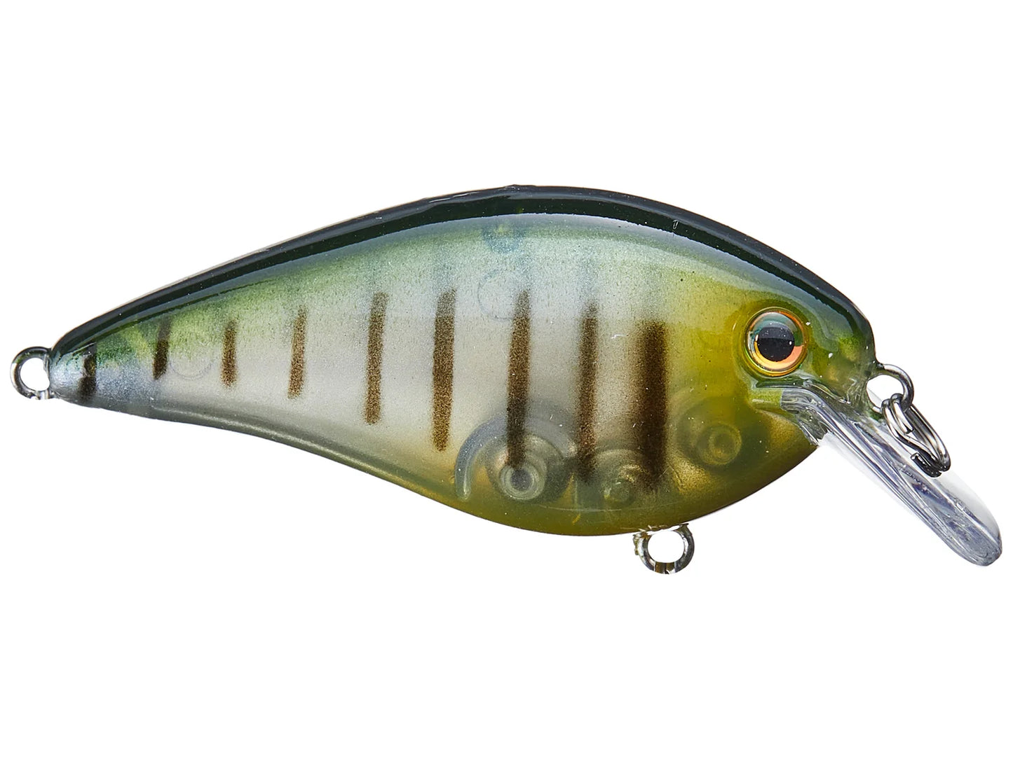 Strike King KVD 1.5 HC Squarebill Silent Crankbait Phantom Perch