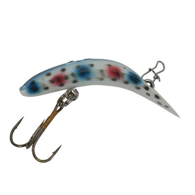 Worden's Flatfish Rainbow