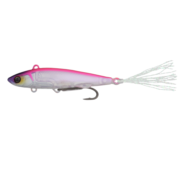 Liver Darter Pink Back Shad