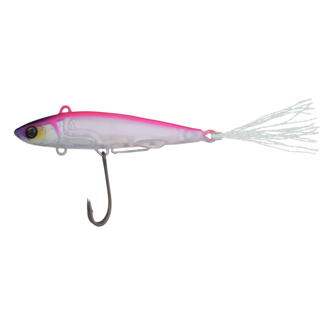 Liver Darter Pink Back Shad