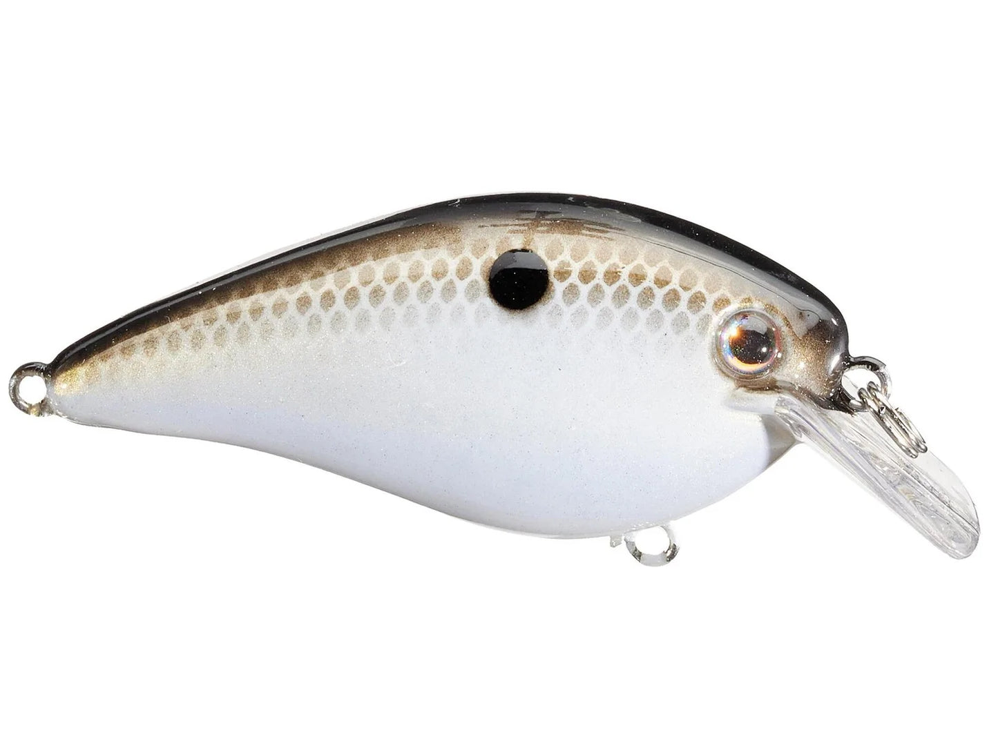 Strike King KVD 1.5 HC Squarebill Silent Crankbait Gizzard Shad