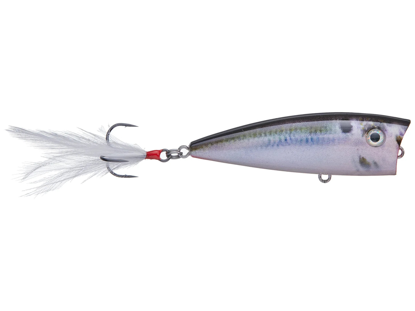Strike King HC KVD Splash Popper Natural Shad