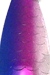Vance's Tackle Sniper Spoon Purple Pirate