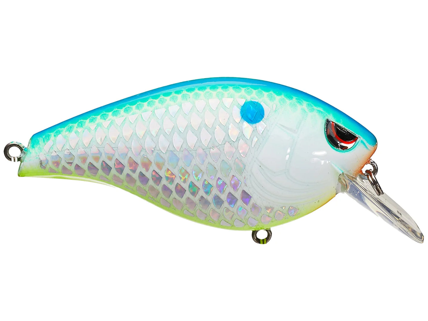 SPRO Essential Series Hunter 65 Squarebill Crankbait Citrus Shad
