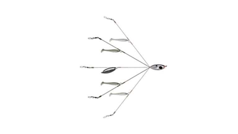 Picasso School E Rig Finesse