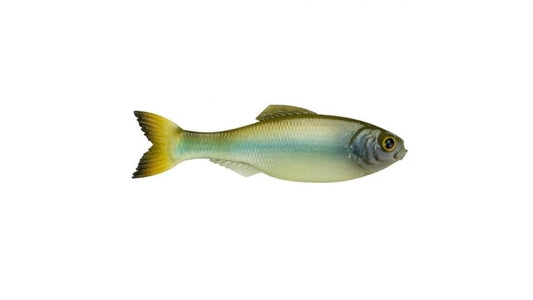 6th Sense Panorama Ghost Minnow
