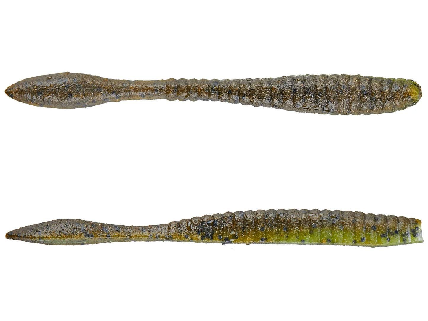 Berkley Powerbait Maxscent Flat Worm 3.6 Inch Green Pumpkin Watermelon