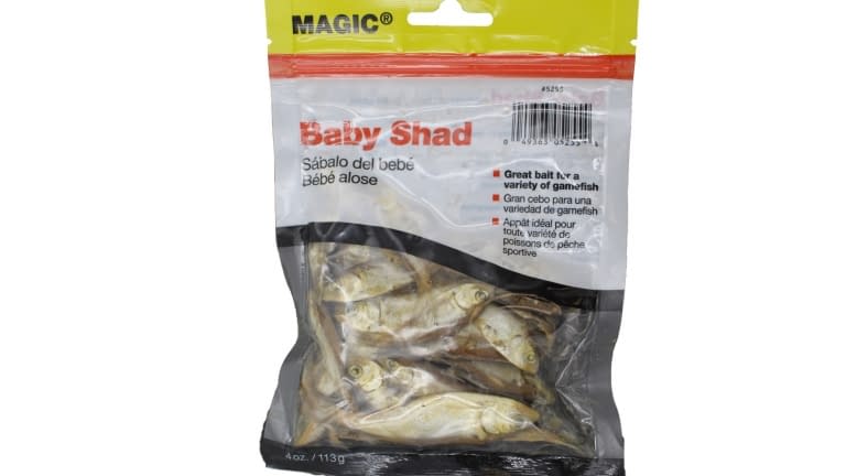 Magic Baby Shad