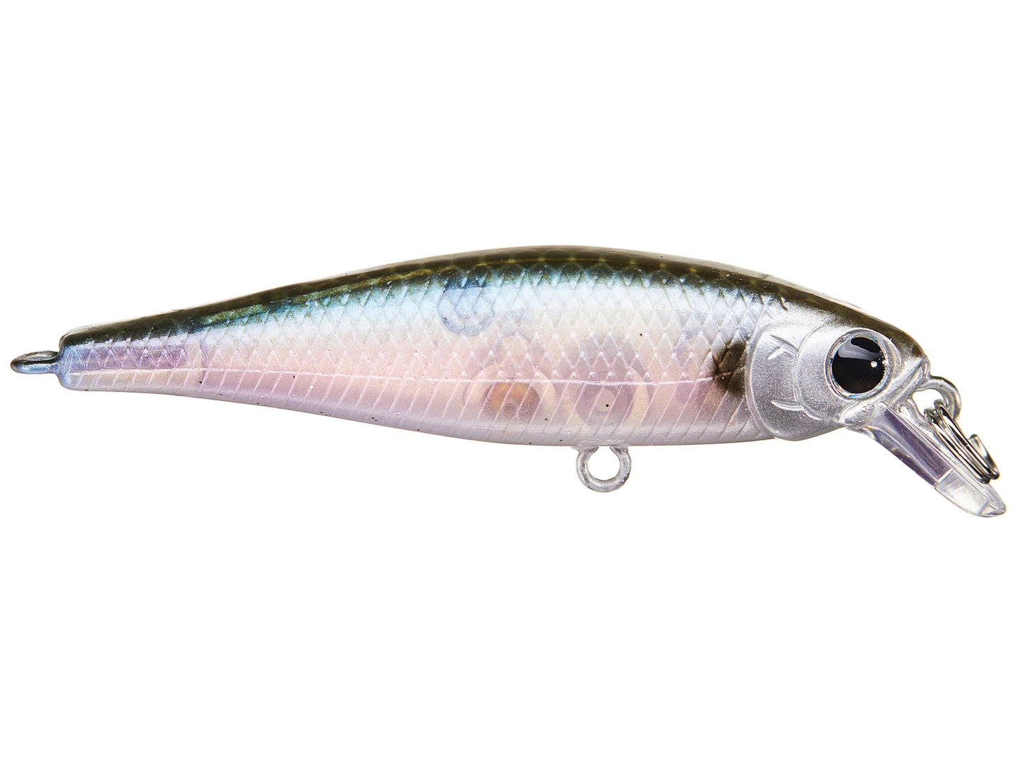 Lucky Craft Pointer 48 Jerkbait Silver Cheek Ghost Minnow