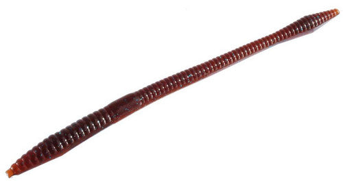 Zoom Trick Worm Scuppernong Blue